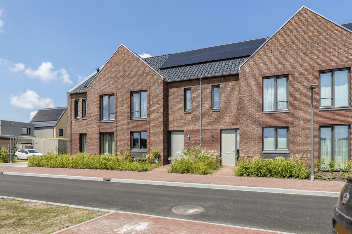 Foto 12 van Rode Geus 2