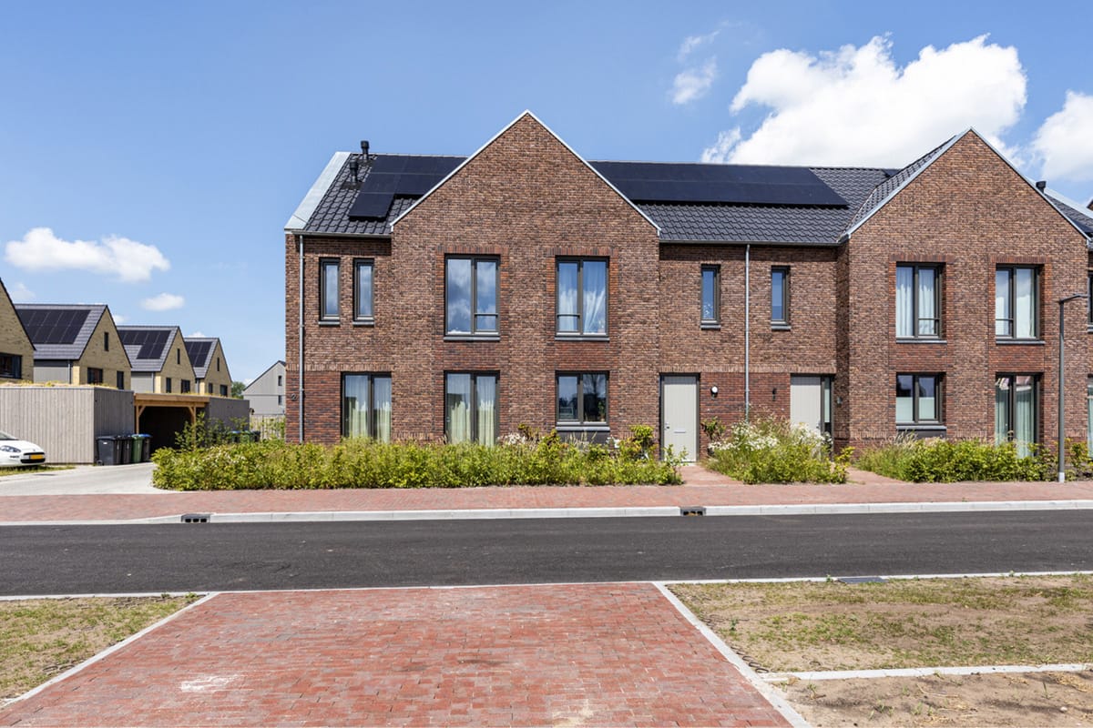 Foto 5 van Rode Geus 2