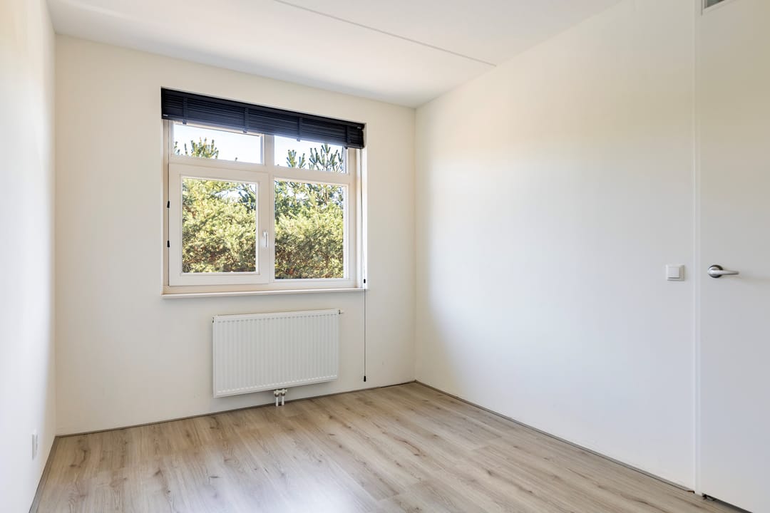 Photo 26 of Lidrus 21