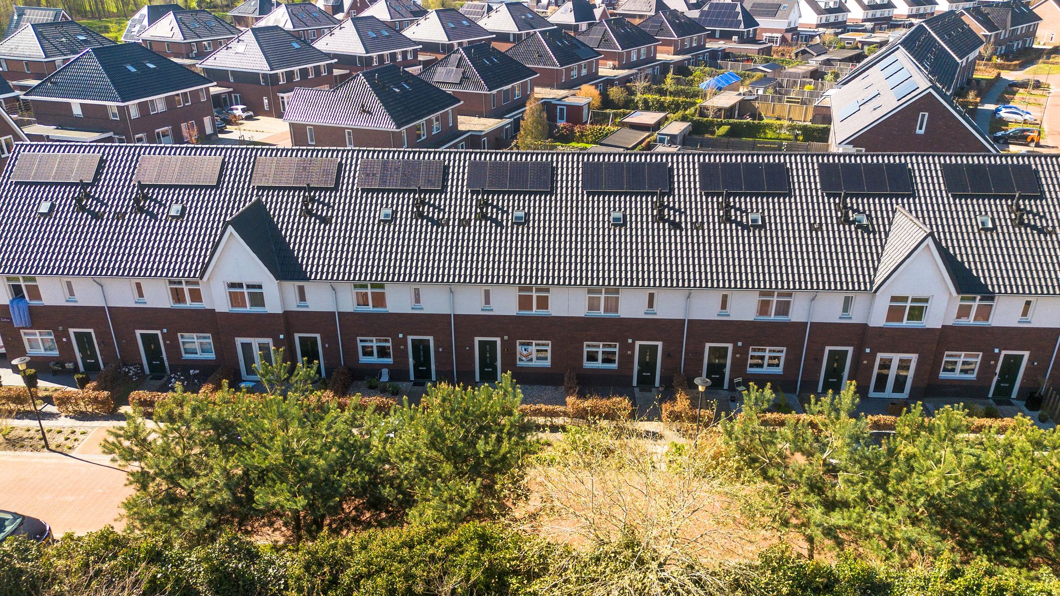 Photo 33 of Lidrus 21