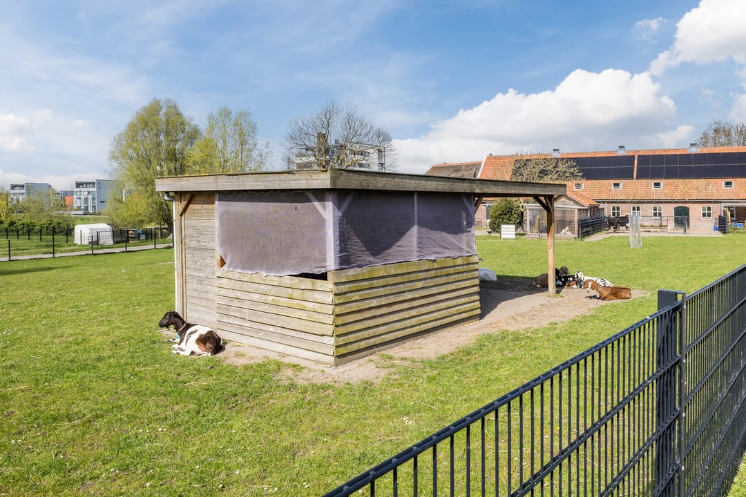 Photo 71 of Waterlandsingel 1