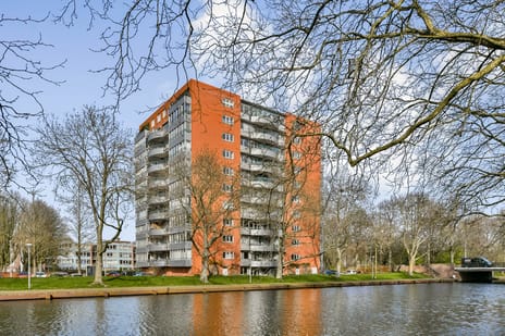 Cornelis van Rijplantsoen thumbnail