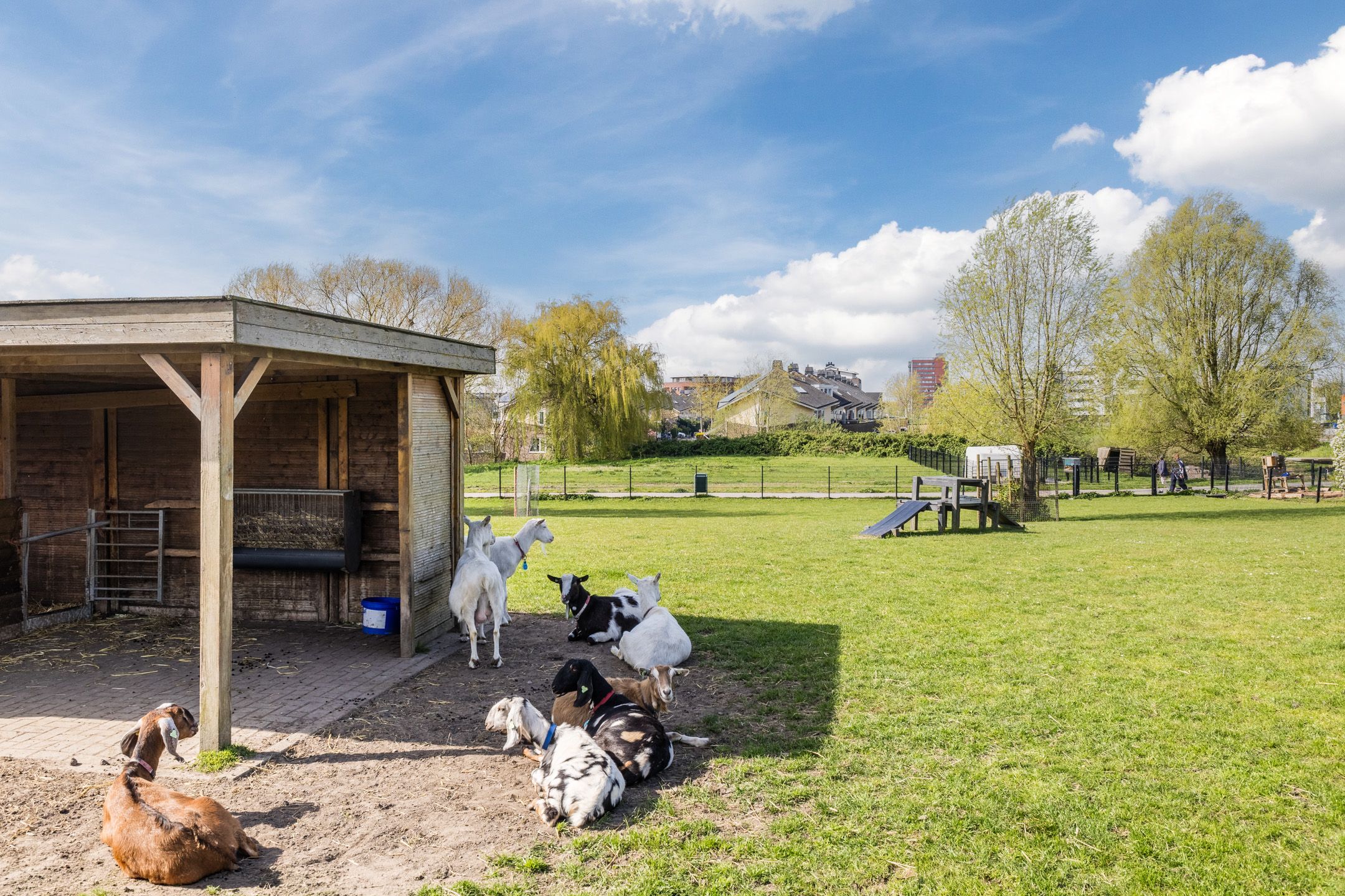 Photo 72 of Waterlandsingel 1