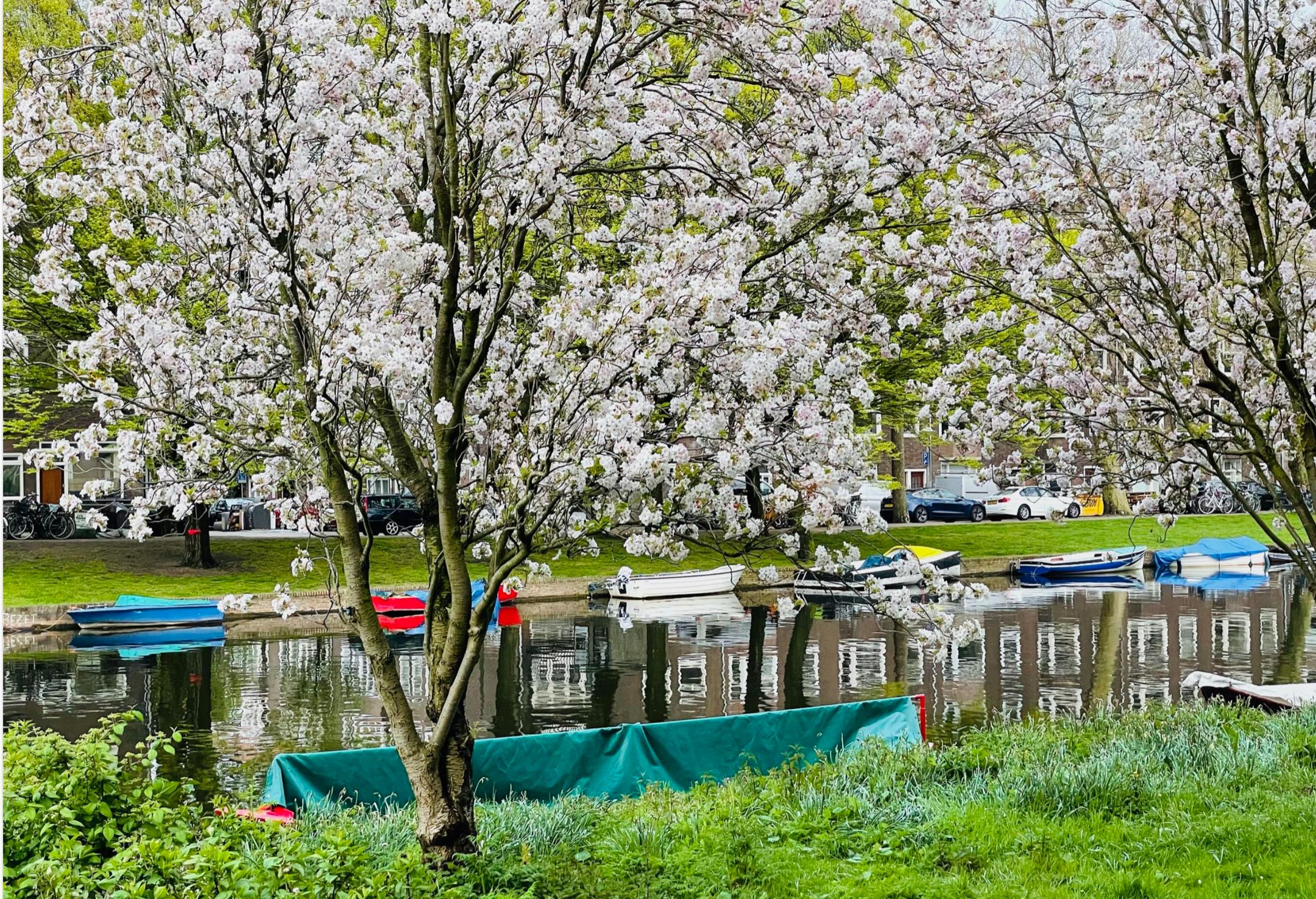 Foto 24 van De Lierhof 34