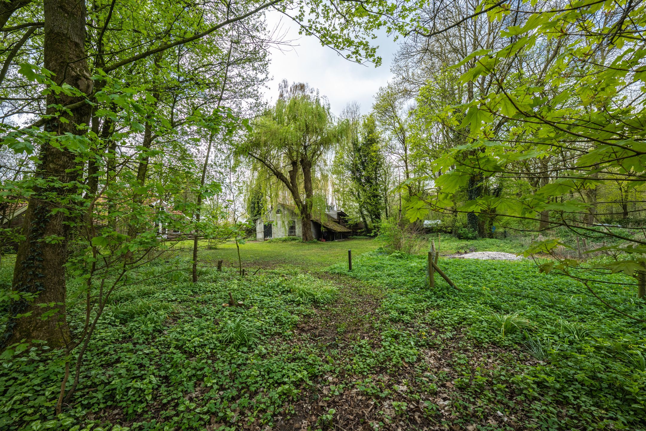 Foto 60 van Wethouder Bankenstraat 16