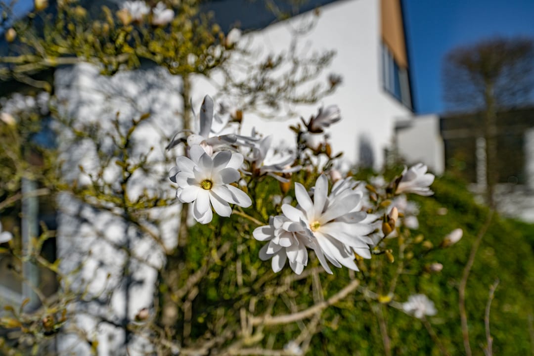 Photo 52 of Callenburghlaan 10