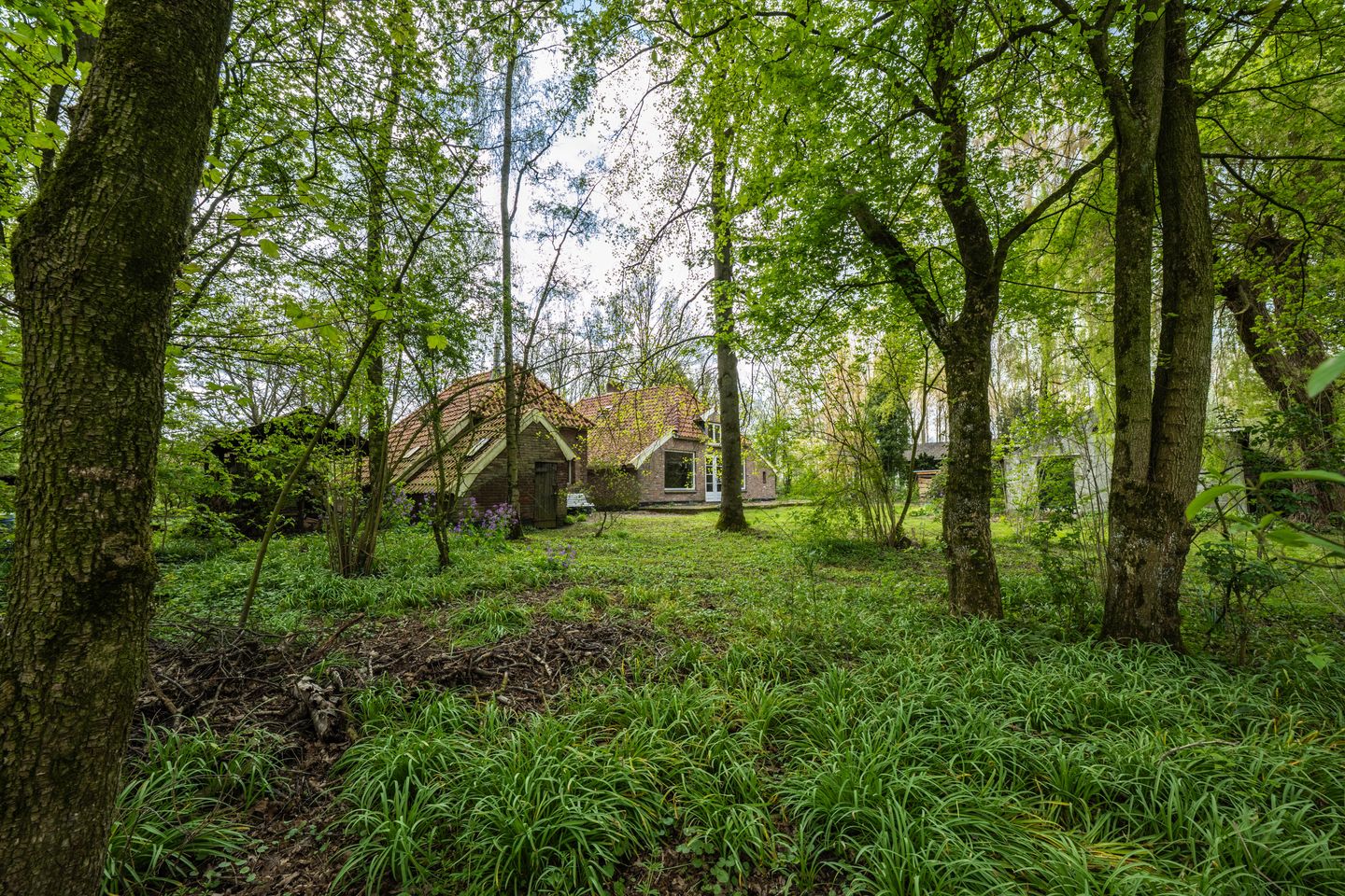 Foto 59 van Wethouder Bankenstraat 16