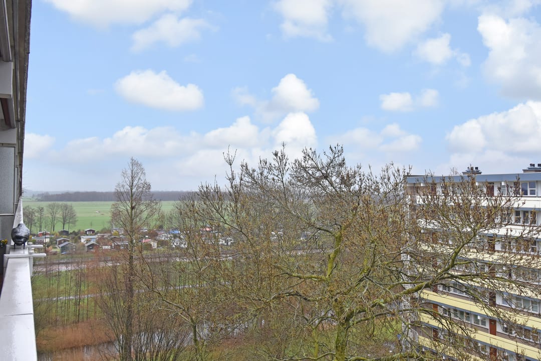 Foto 8 van Isabellaland 1054