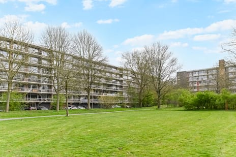 Prins Frederiklaan thumbnail