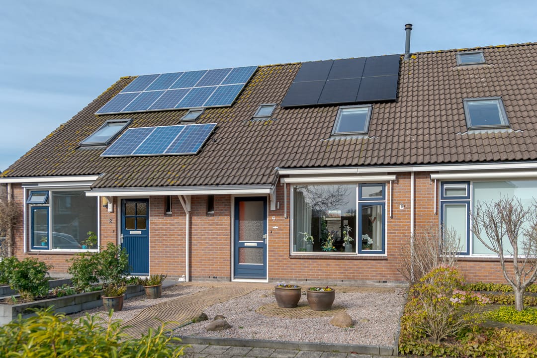 Photo 1 of Koekoeksbloem 4