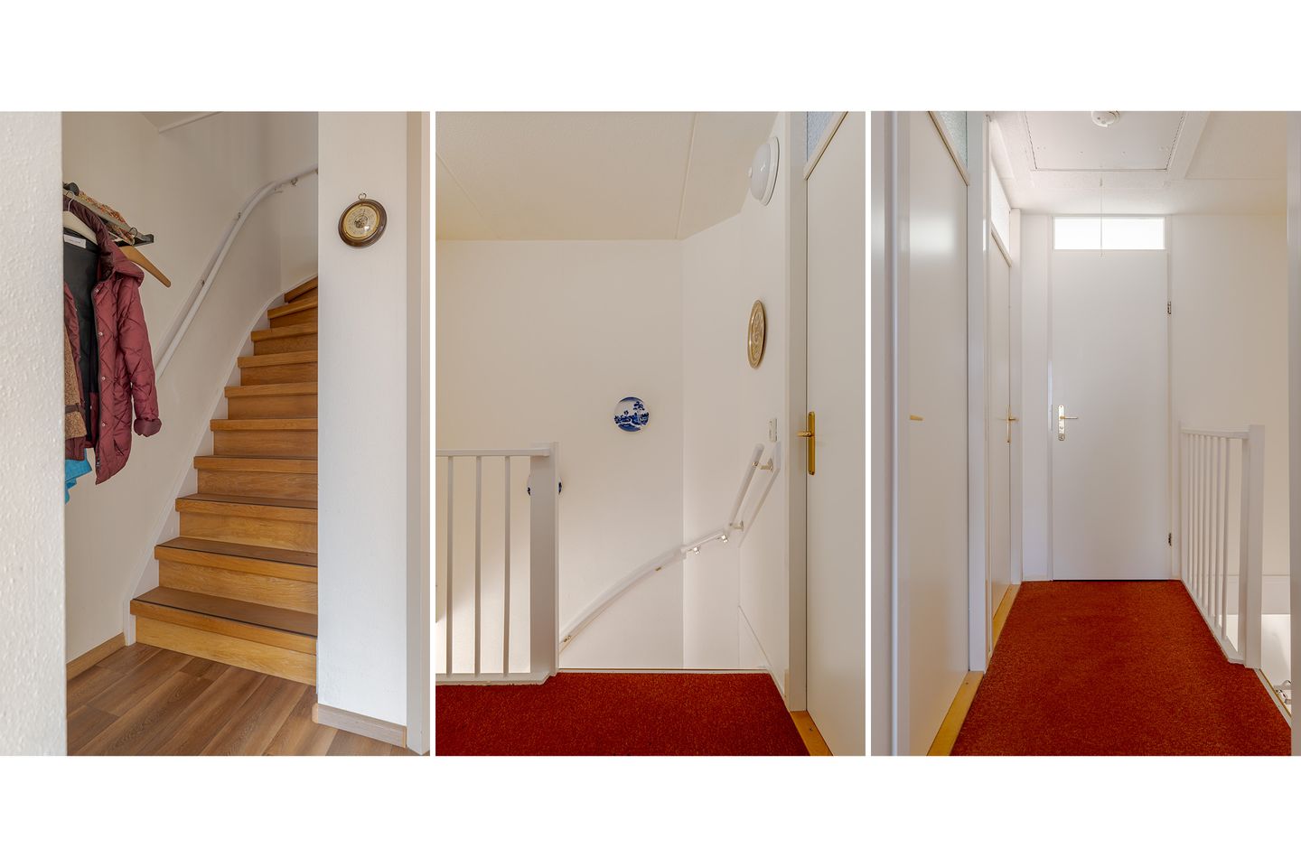 Photo 25 of Koekoeksbloem 4