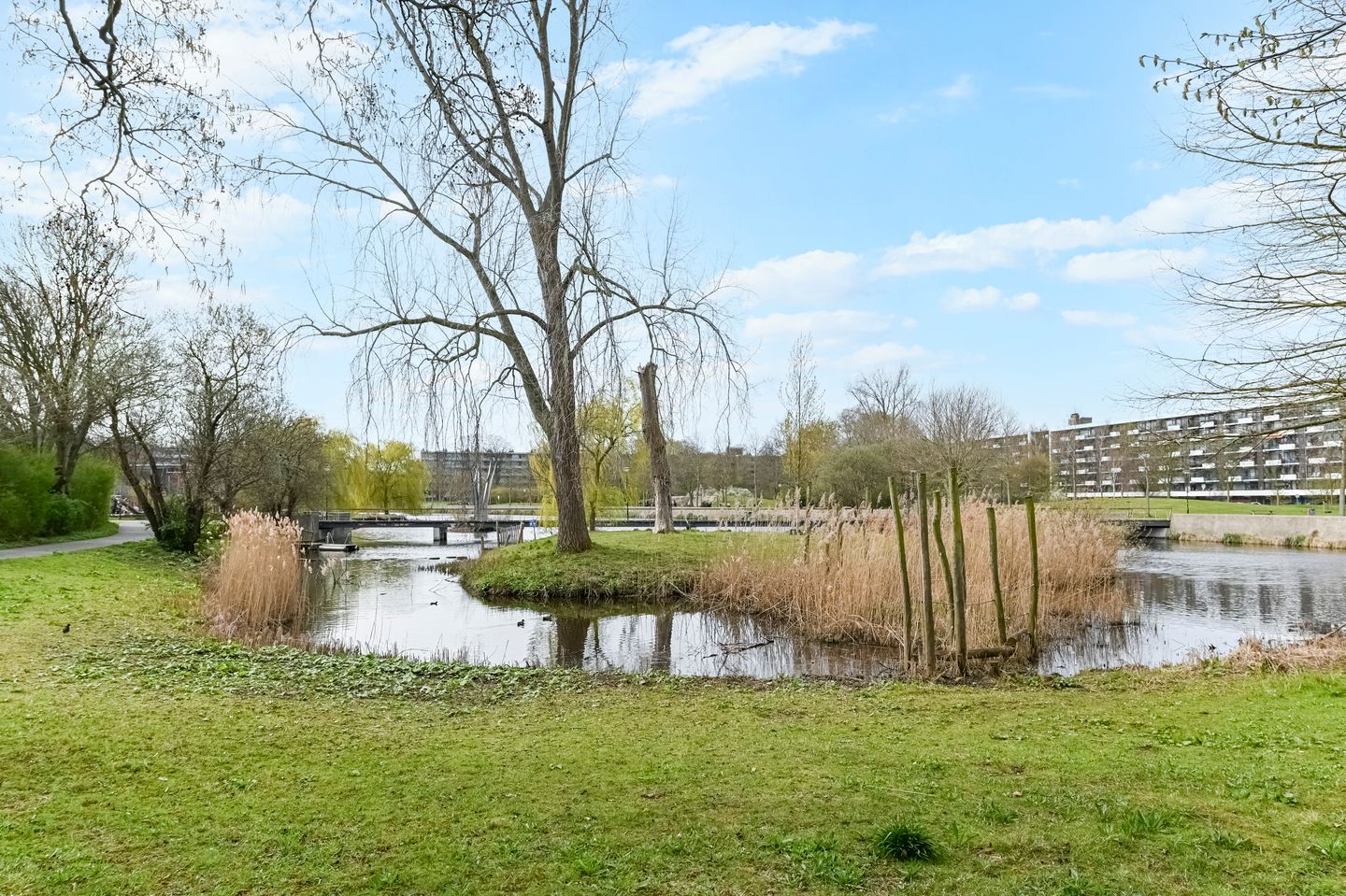 Foto 19 van Prins Frederiklaan 298