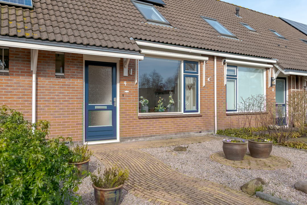 Photo 8 of Koekoeksbloem 4