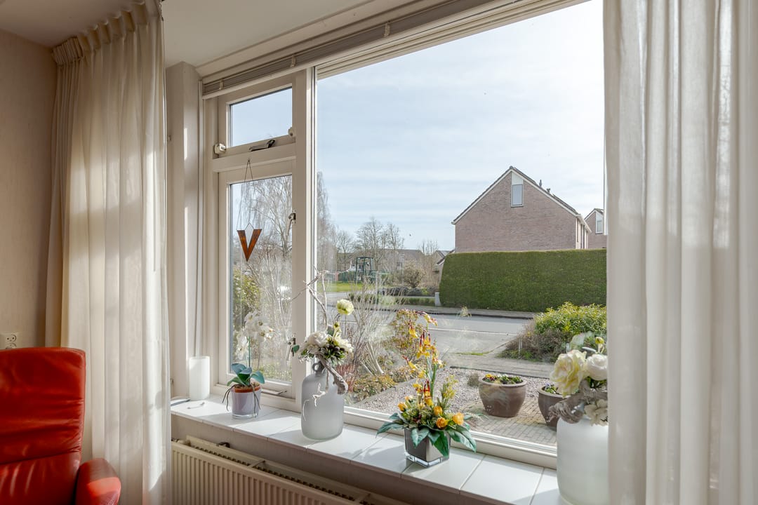 Photo 16 of Koekoeksbloem 4