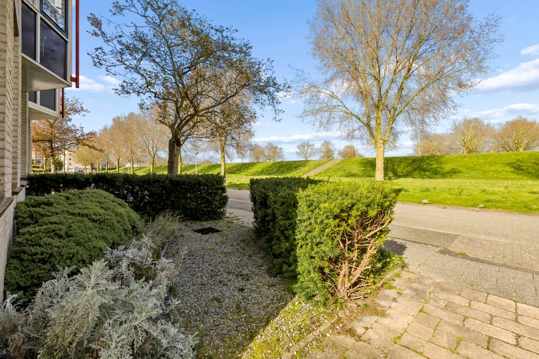 Foto 52 van Goudhaver 44