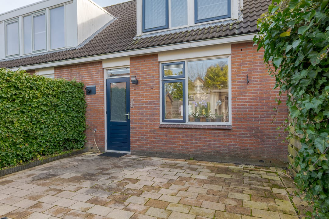 Photo 41 of Koekoeksbloem 4