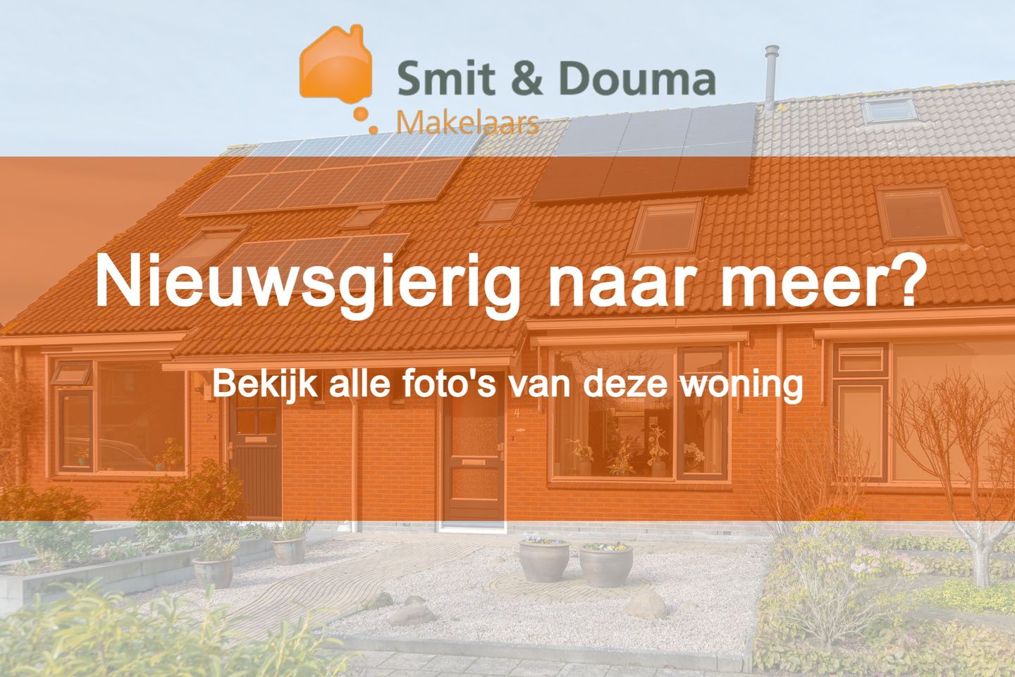 Photo 5 of Koekoeksbloem 4