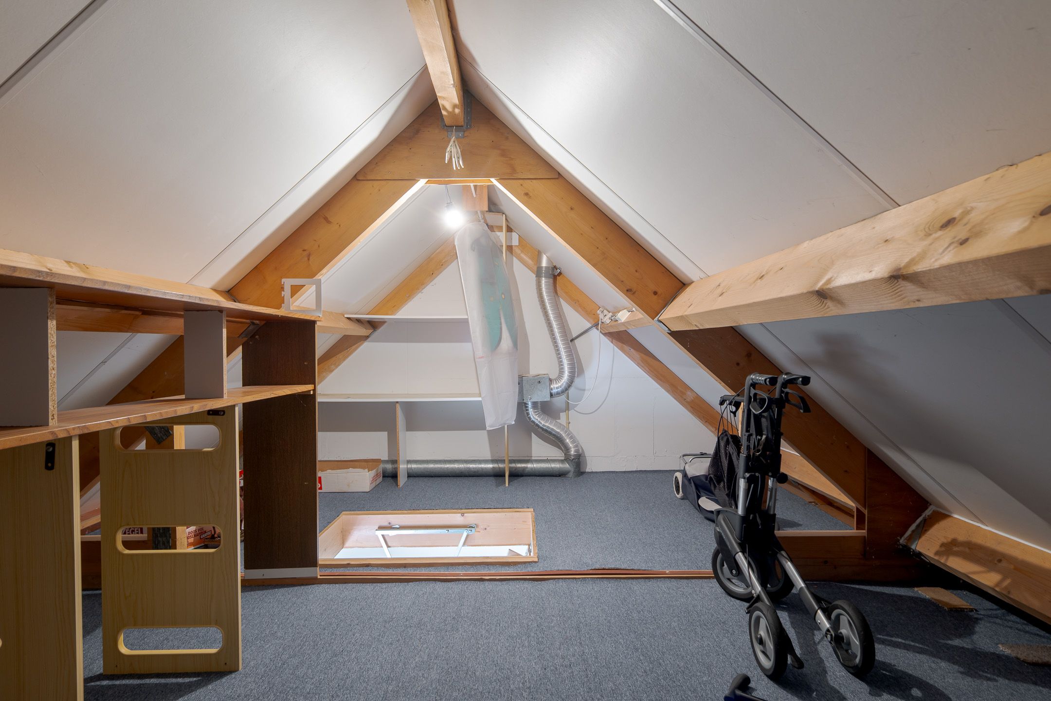 Photo 36 of Koekoeksbloem 4