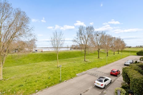 Goudhaver 44 tertiary image