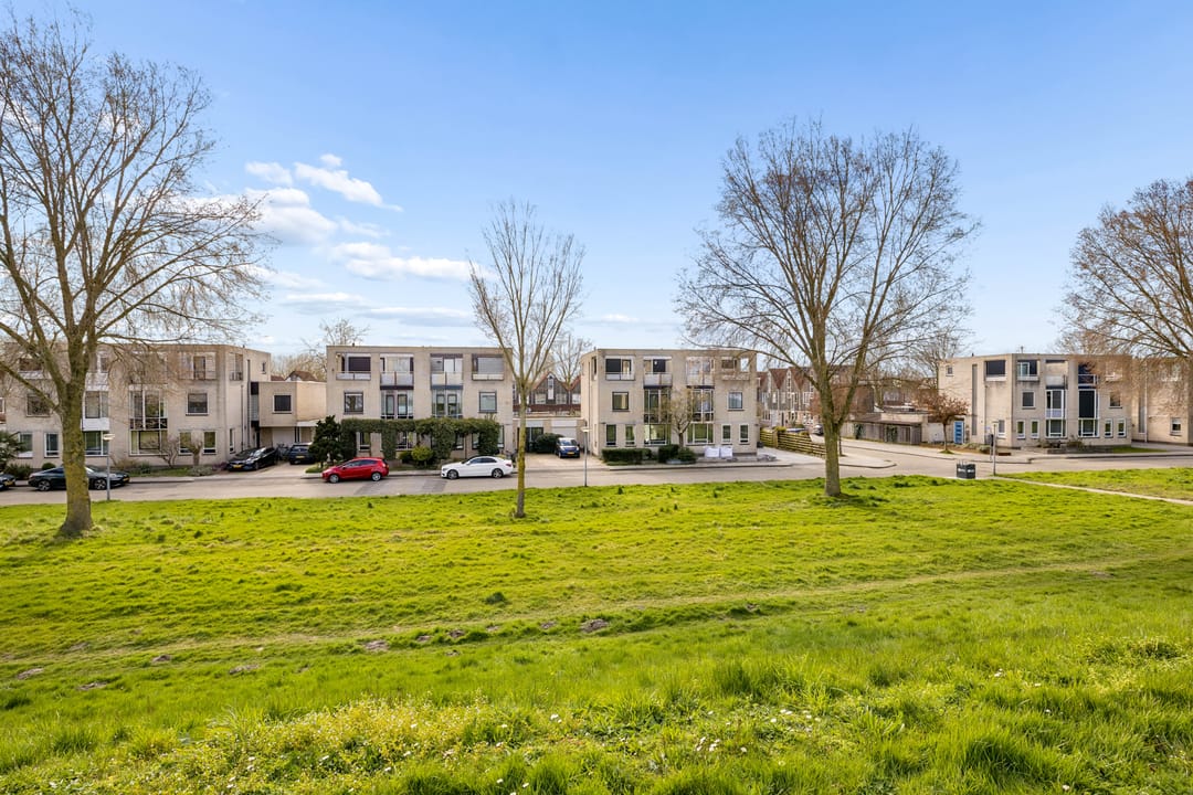 Foto 2 van Goudhaver 44