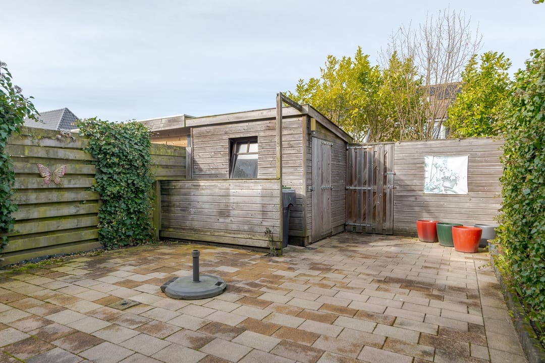 Photo 43 of Koekoeksbloem 4