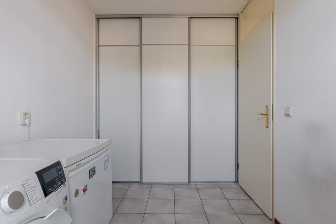 Photo 38 of Koekoeksbloem 4