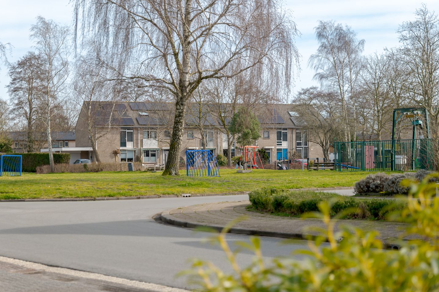 Photo 4 of Koekoeksbloem 4