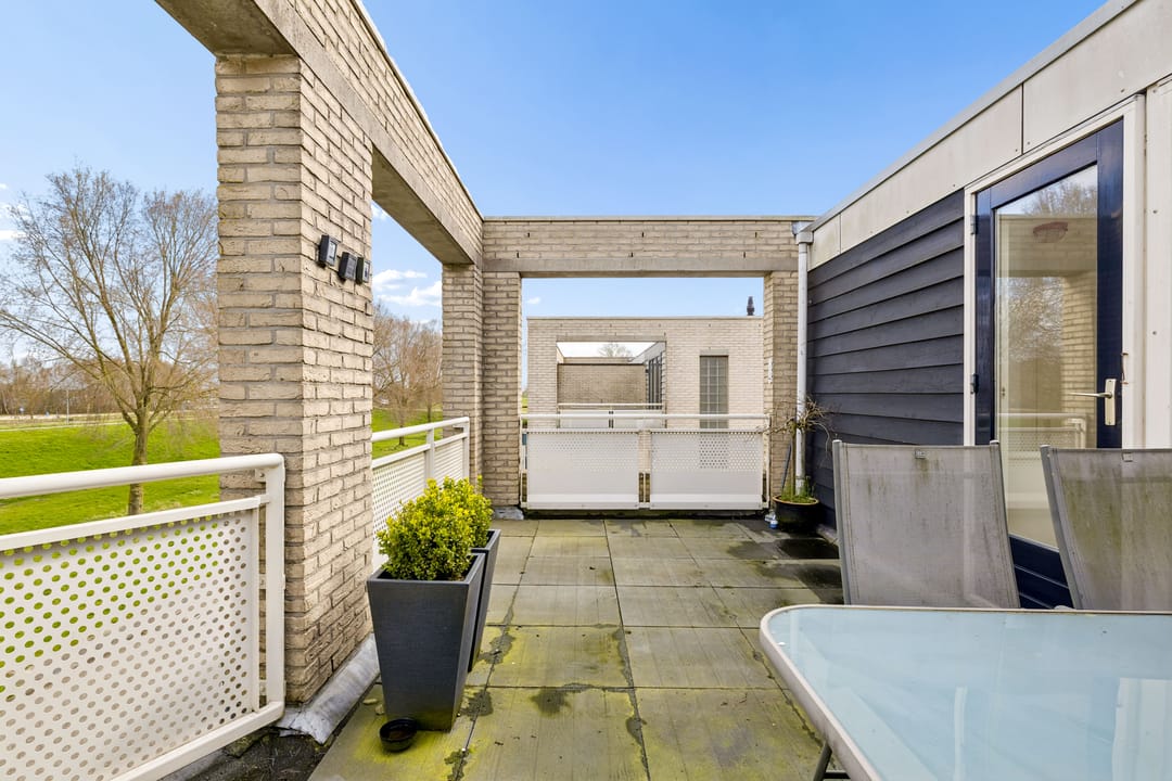 Foto 43 van Goudhaver 44