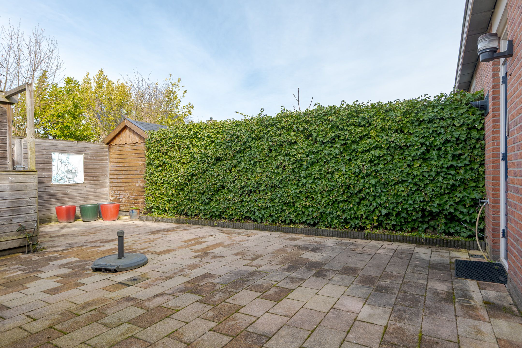 Photo 42 of Koekoeksbloem 4