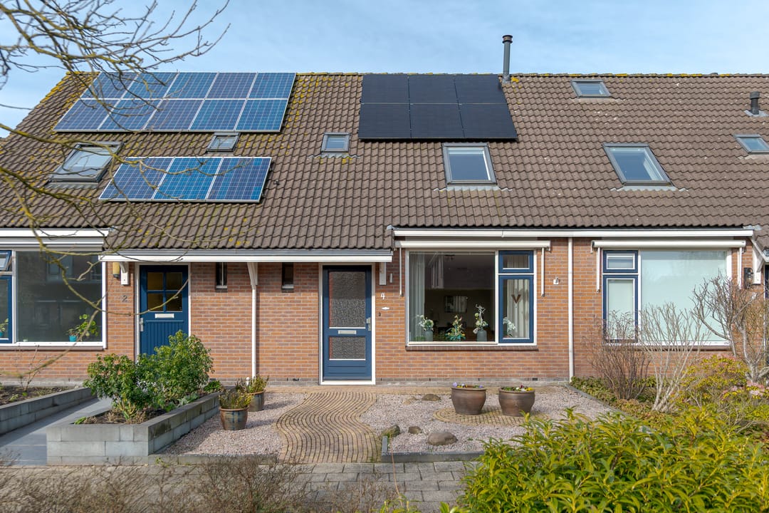 Photo 7 of Koekoeksbloem 4