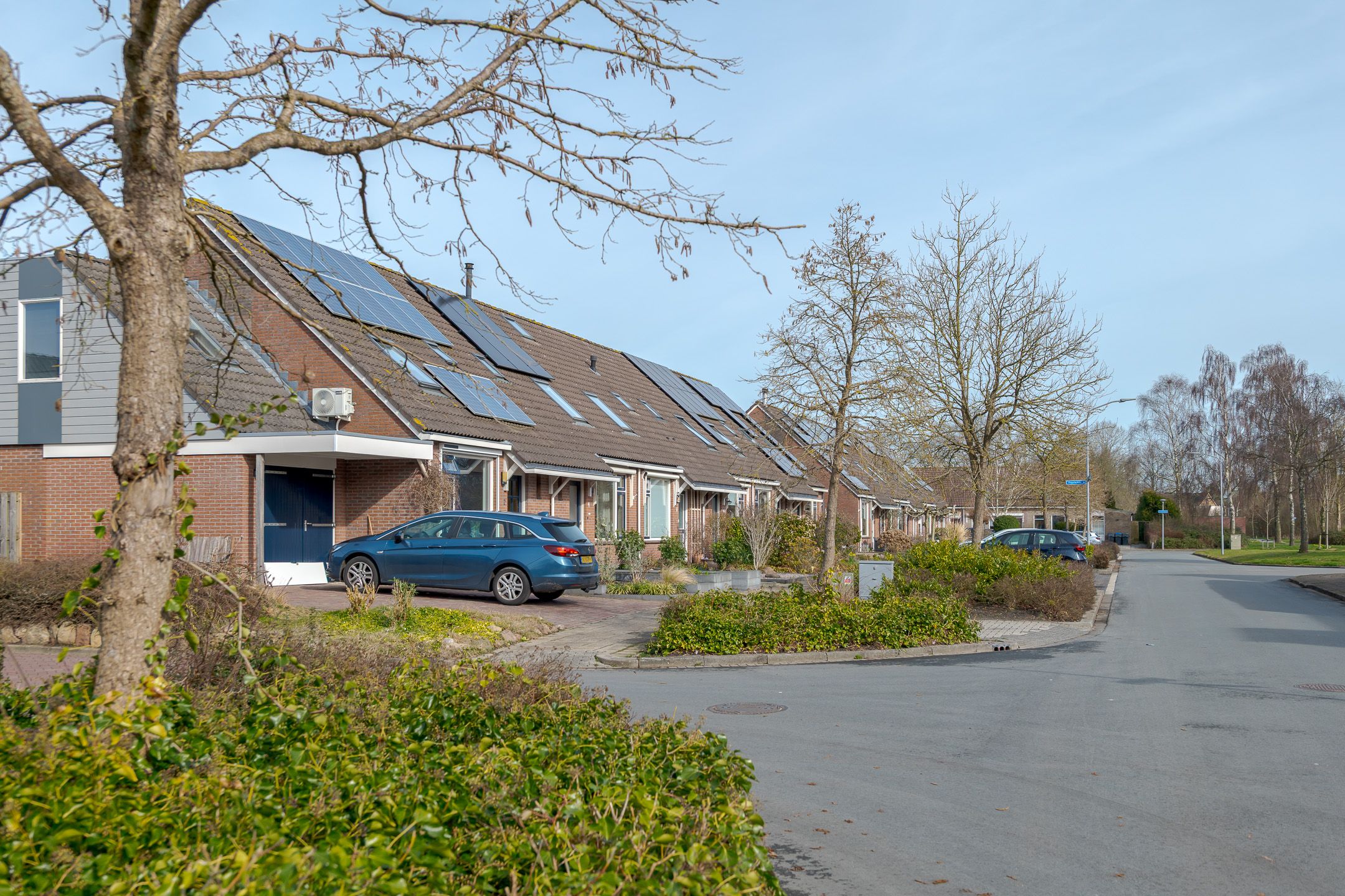 Photo 6 of Koekoeksbloem 4