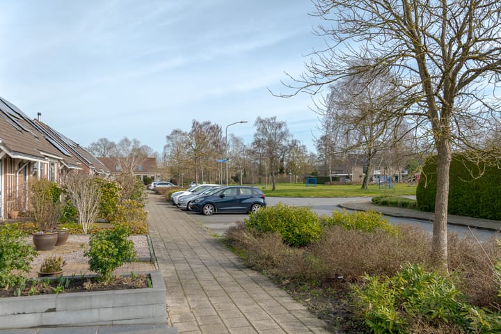 Foto 3 van Koekoeksbloem 4