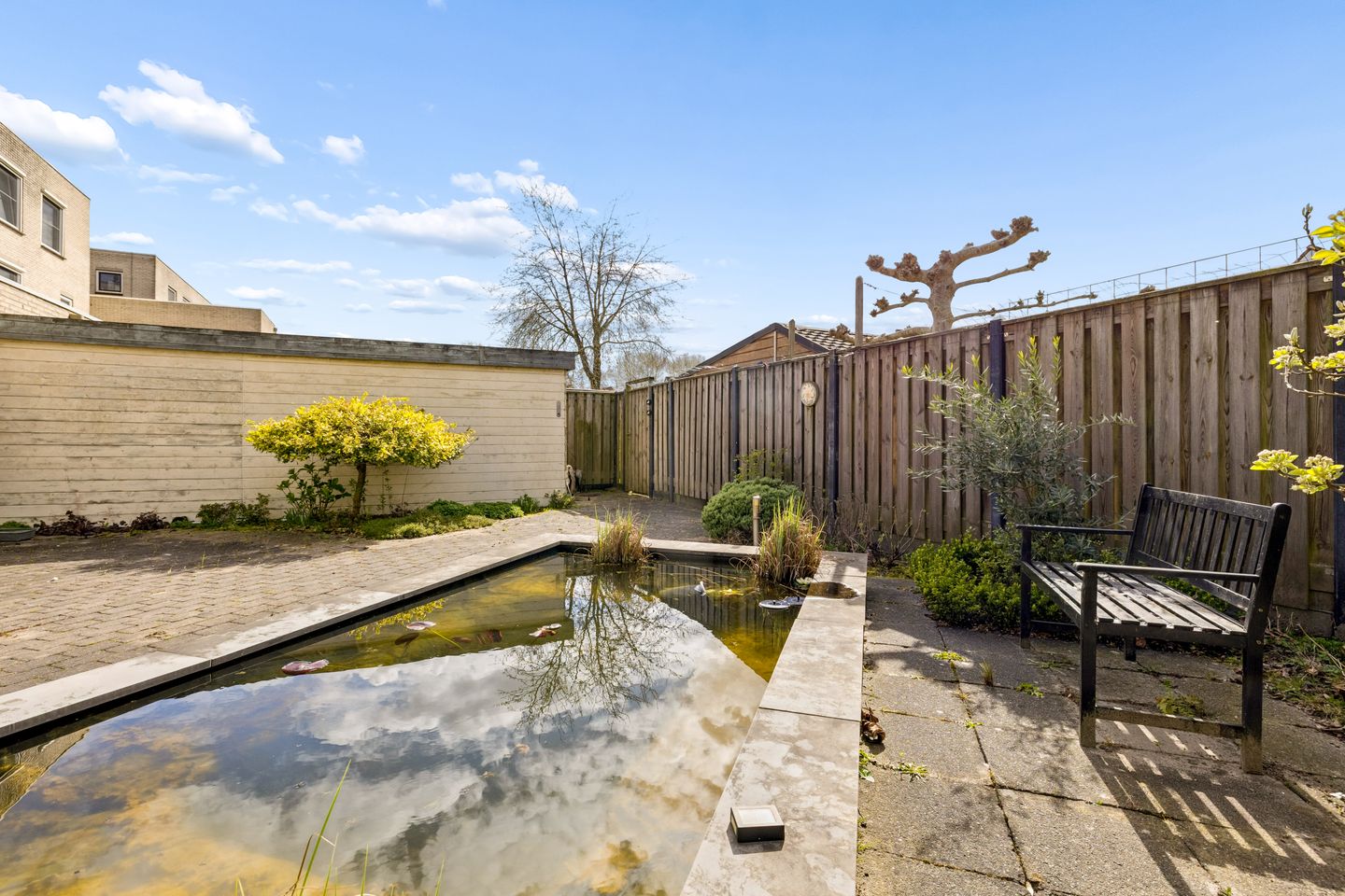 Foto 50 van Goudhaver 44