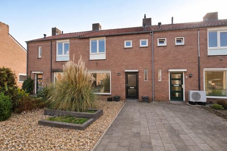 undefined main image