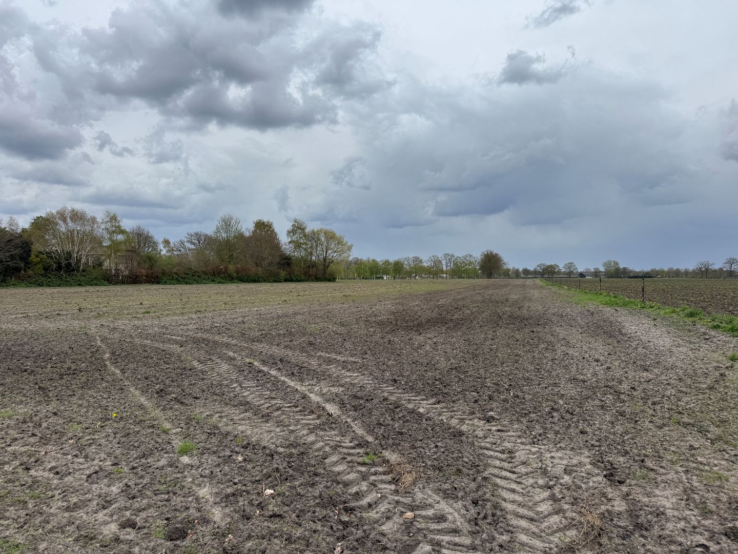 Bekijk foto 4 van Laarweg