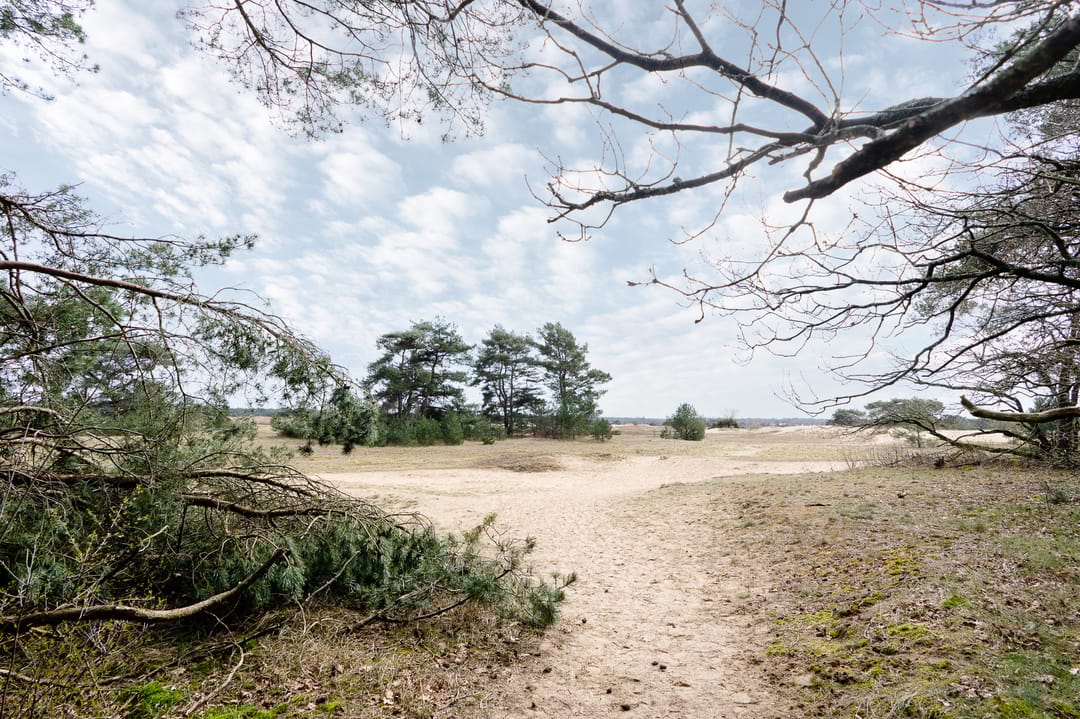 Foto 53 van Kerkendelweg 49-89