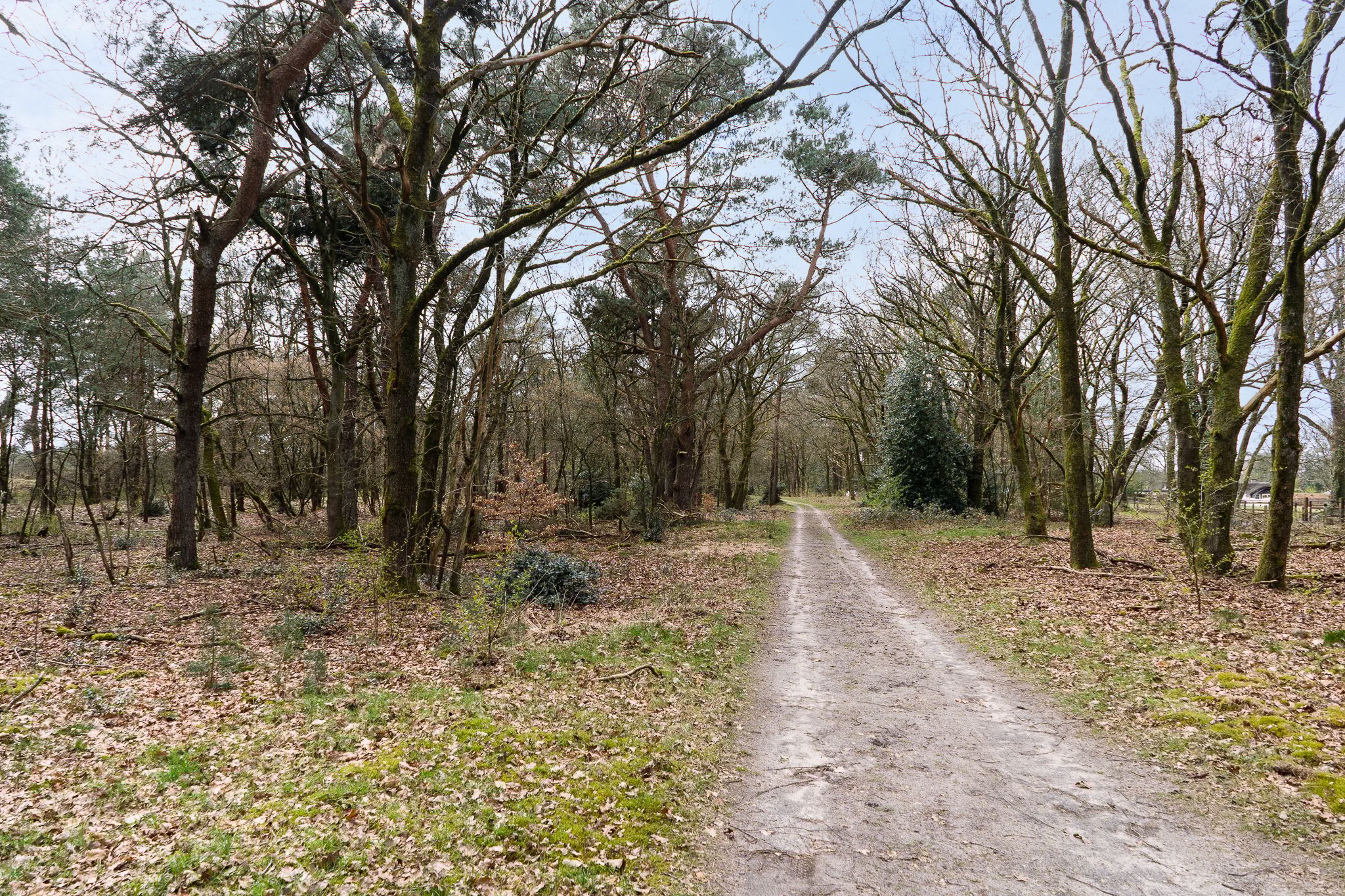 Foto 54 van Kerkendelweg 49-89