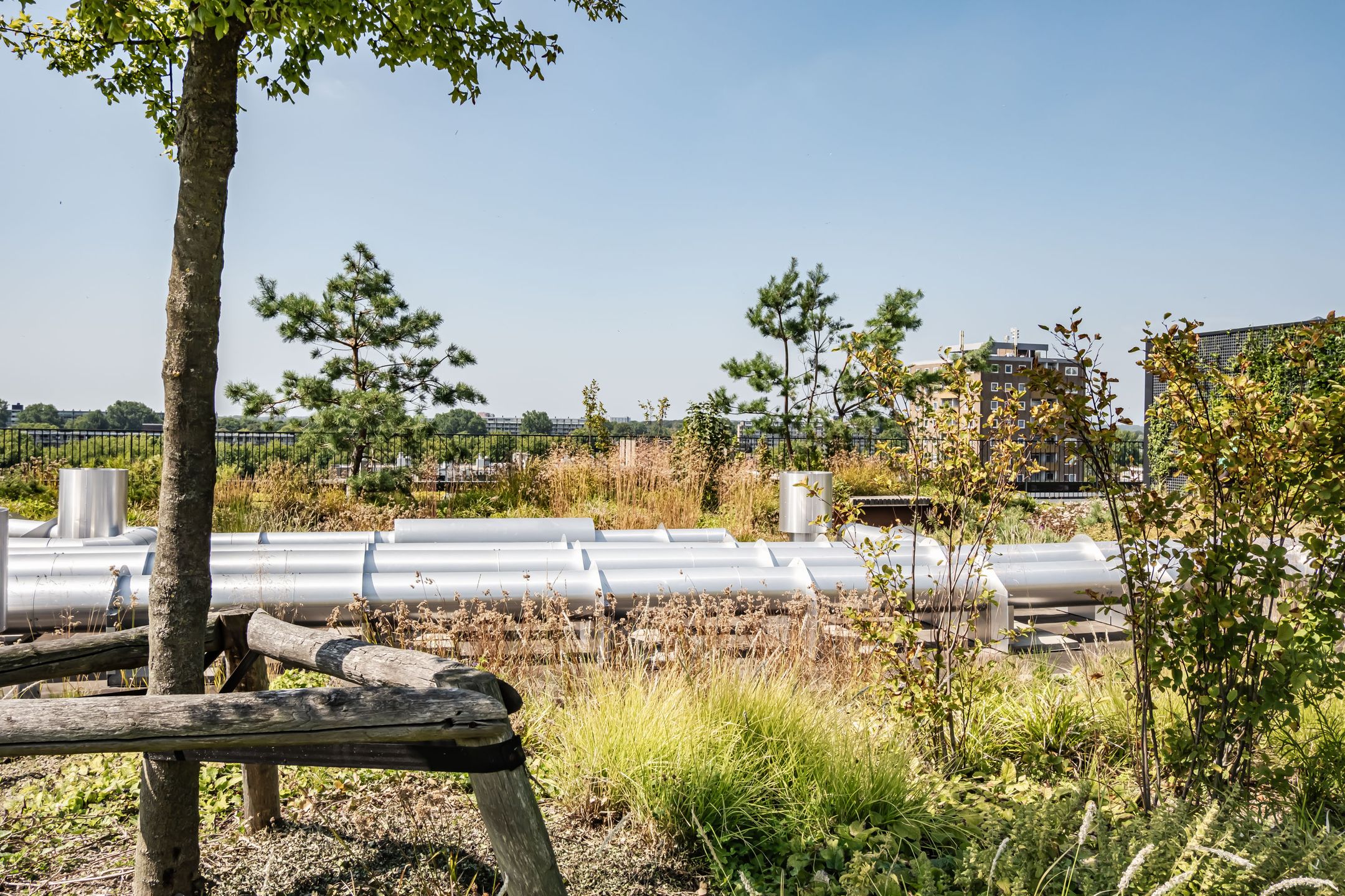 Photo 36 of Surinamepad 106