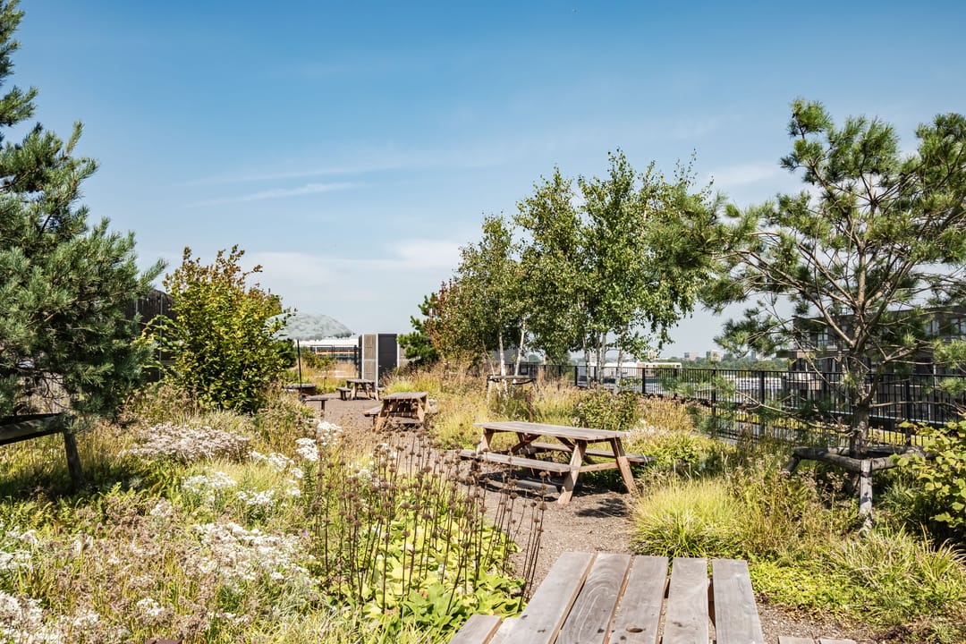 Photo 37 of Surinamepad 106