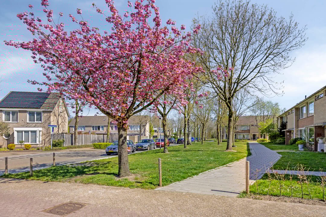 Photo 38 of Wouter Berthoutlaan 28