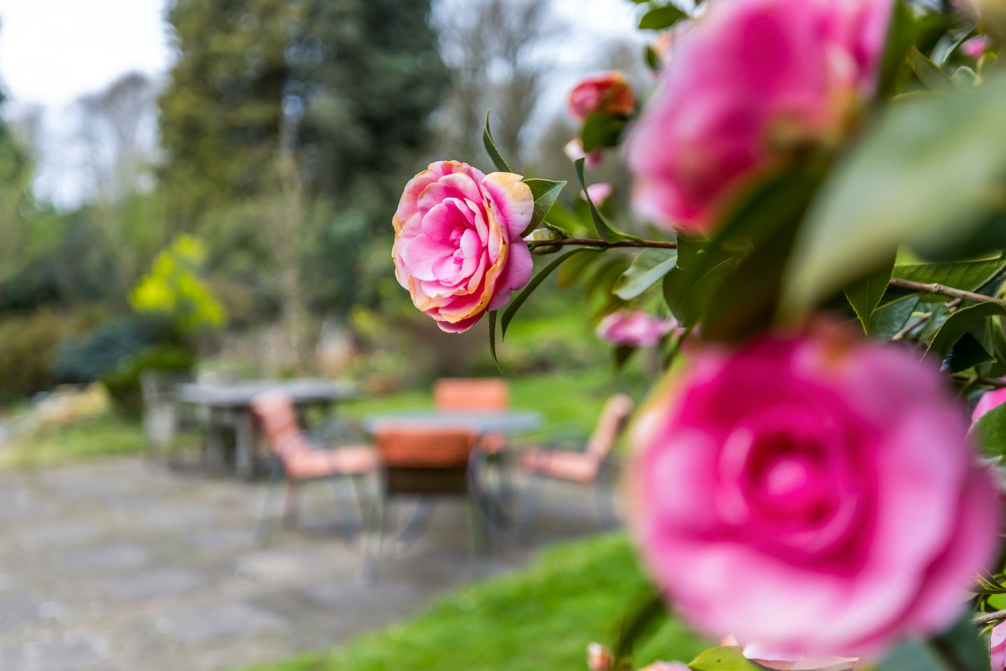 Foto 40 van Nagelbeek 68