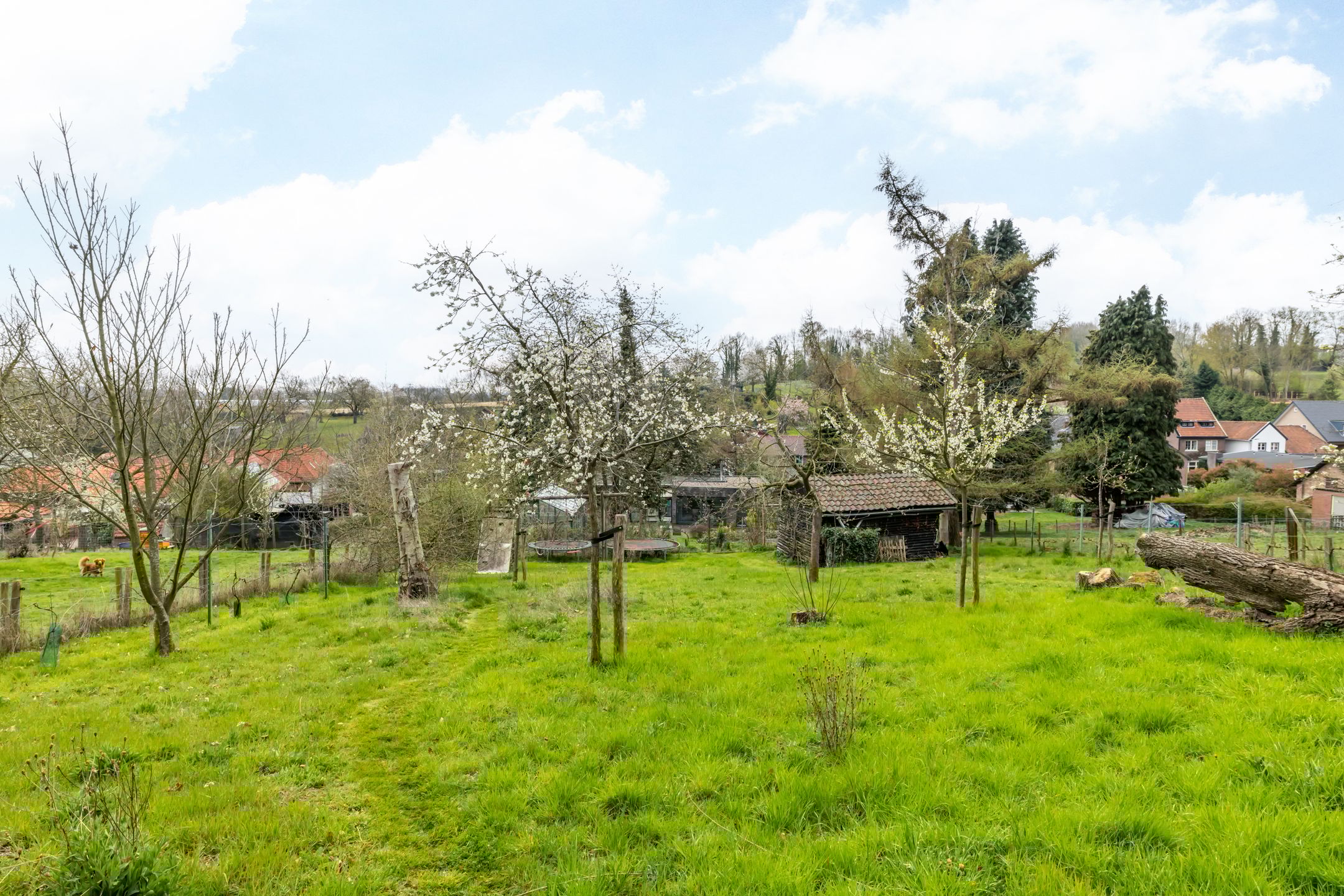 Foto 3 van Nagelbeek 68