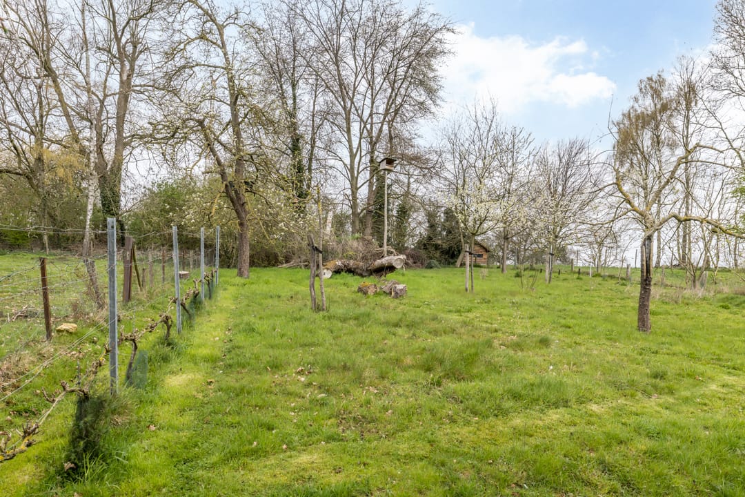 Foto 32 van Nagelbeek 68