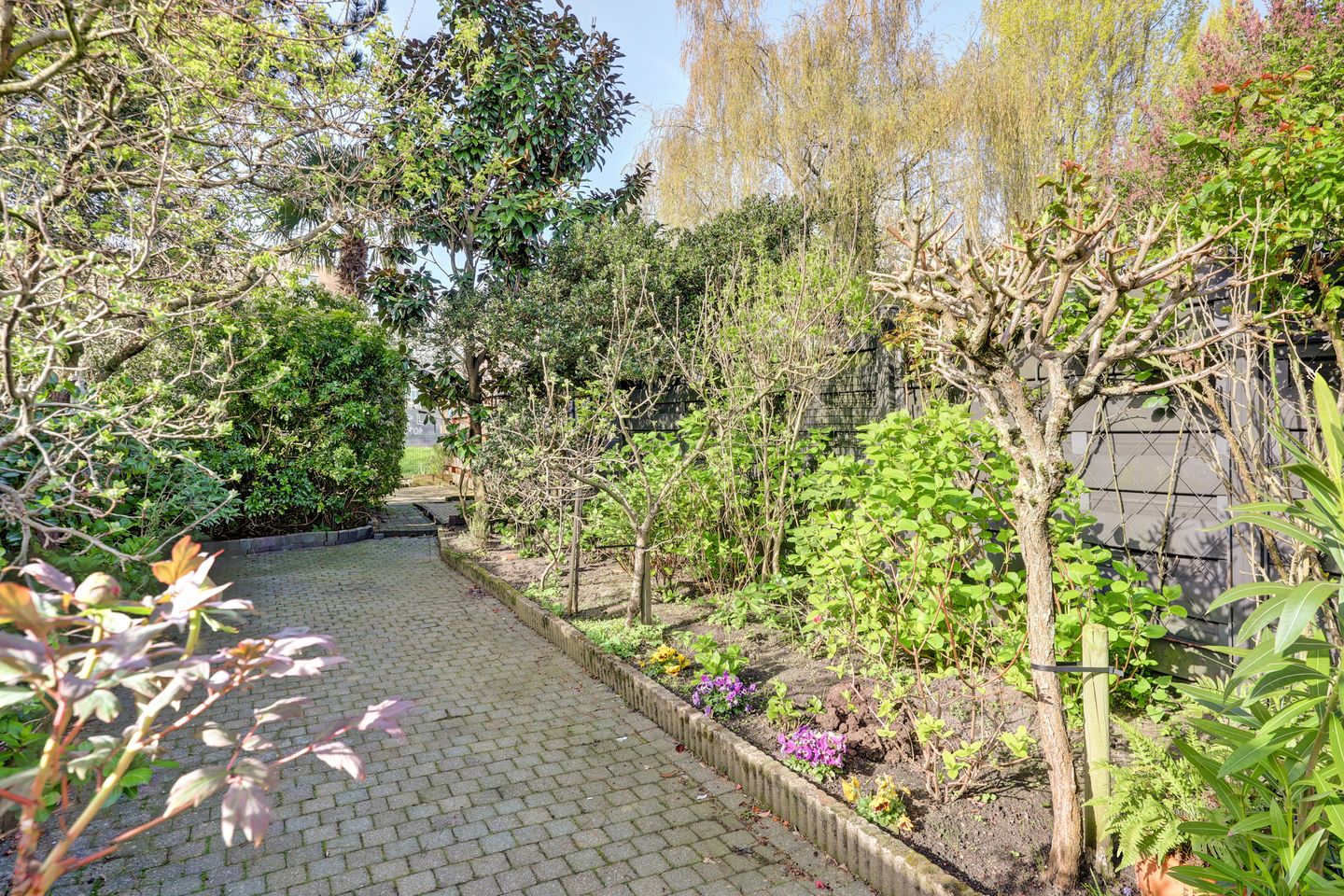 Foto 20 van Oostsingel 58