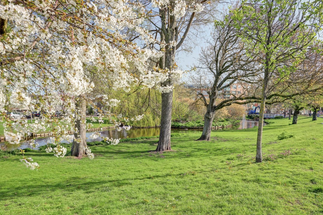 Foto 37 van Oostsingel 58