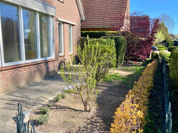 Foto 3 van Blauwe Hoek 62-C