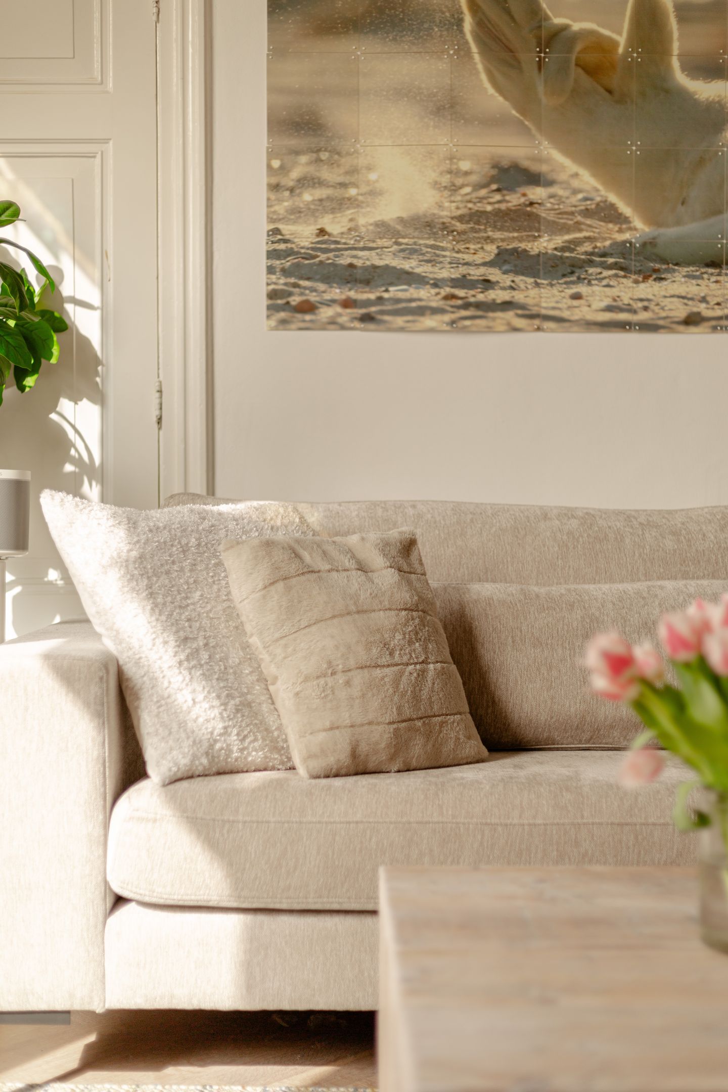 Photo 10 of Waldeck Pyrmontkade 926-B