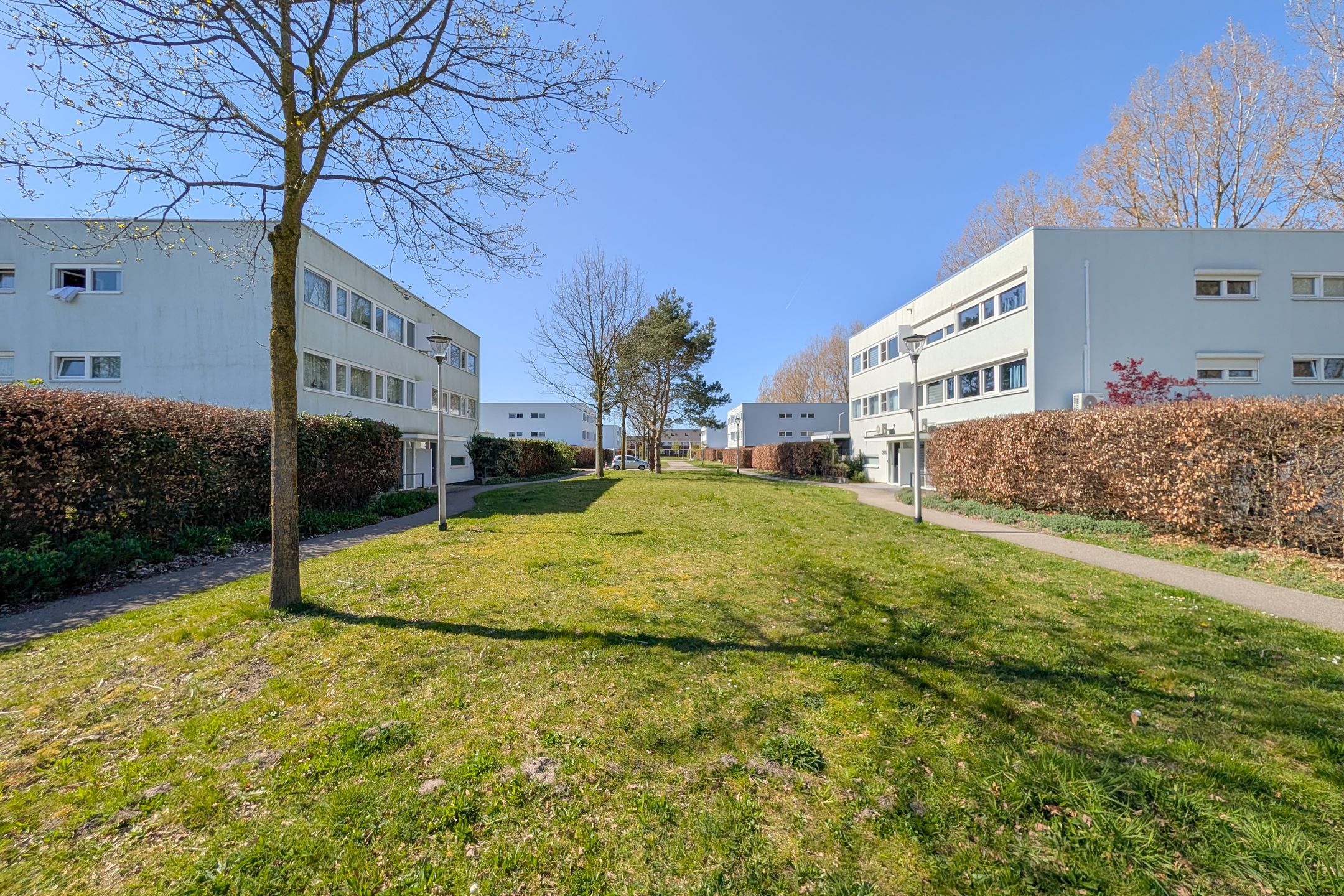 Foto 54 van Schipluidenlaan 193