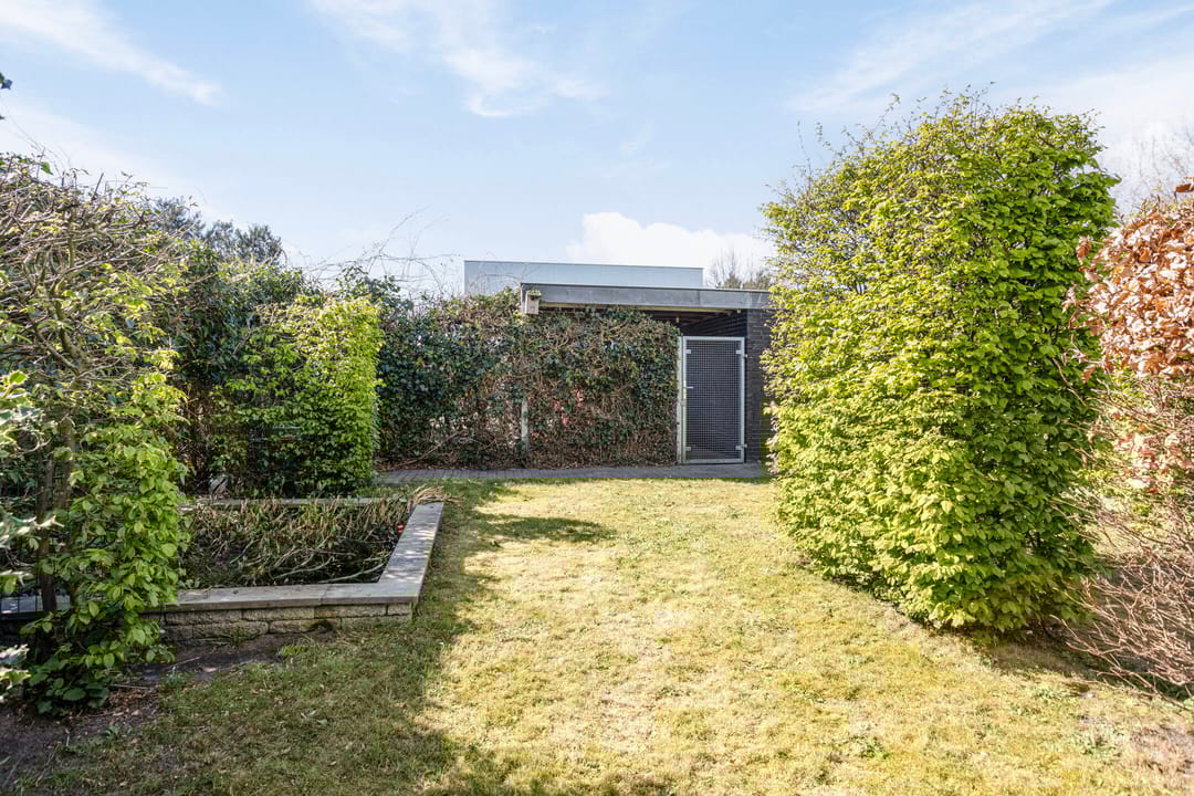 Foto 37 van Schipluidenlaan 193