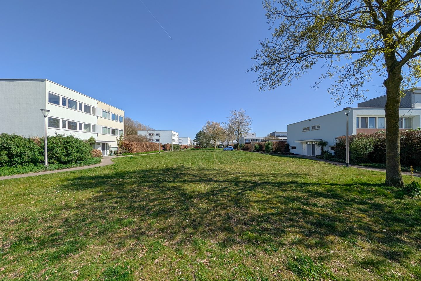 Foto 49 van Schipluidenlaan 193